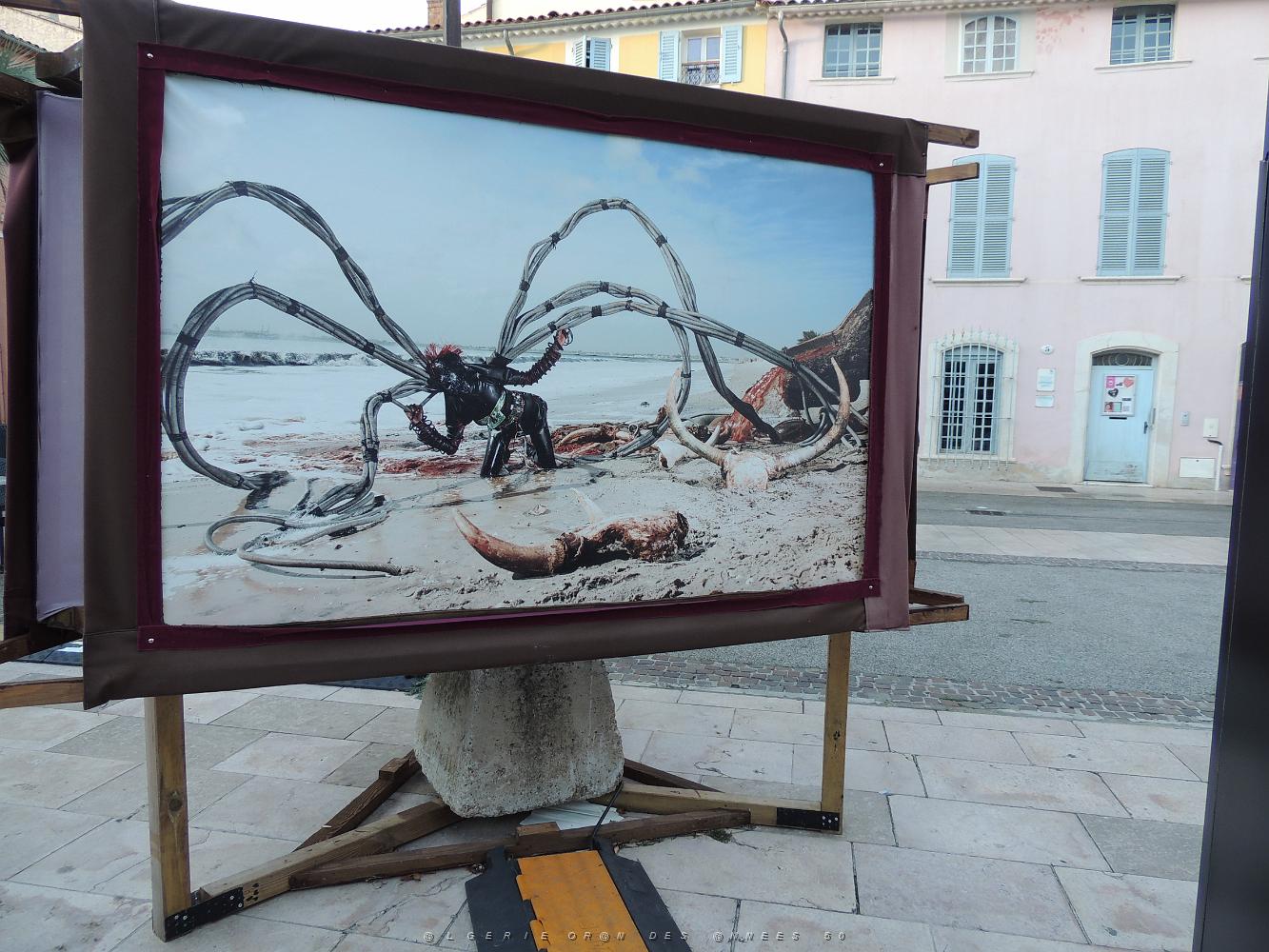 56  Exposition de Tableaux.JPG -           